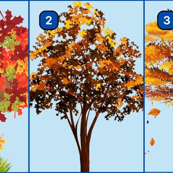 Personality test: How do you handle stress? Do you tend to stay composed or do you often become emotional?