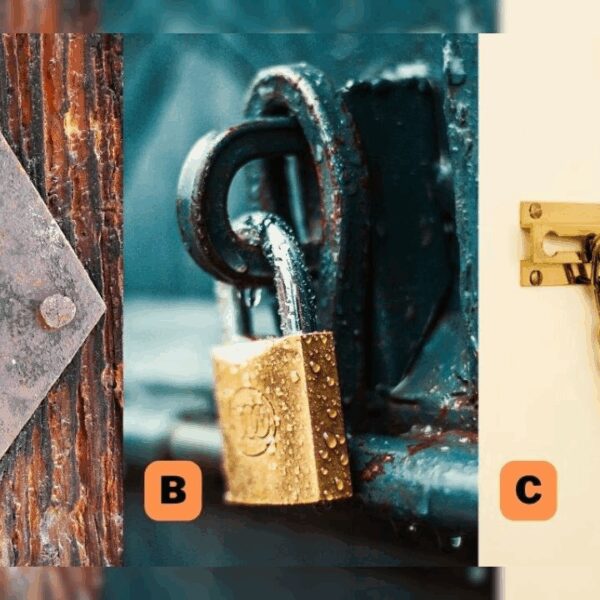 Choose a Lock and Discover What's Holding You Back From Your Full Potential