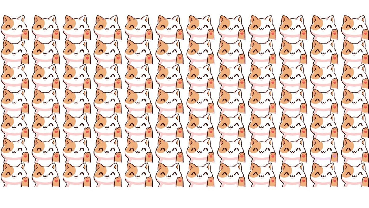 Only People With Perfect Vision Can Find the Odd Cat Out in This Picture in 9 Seconds