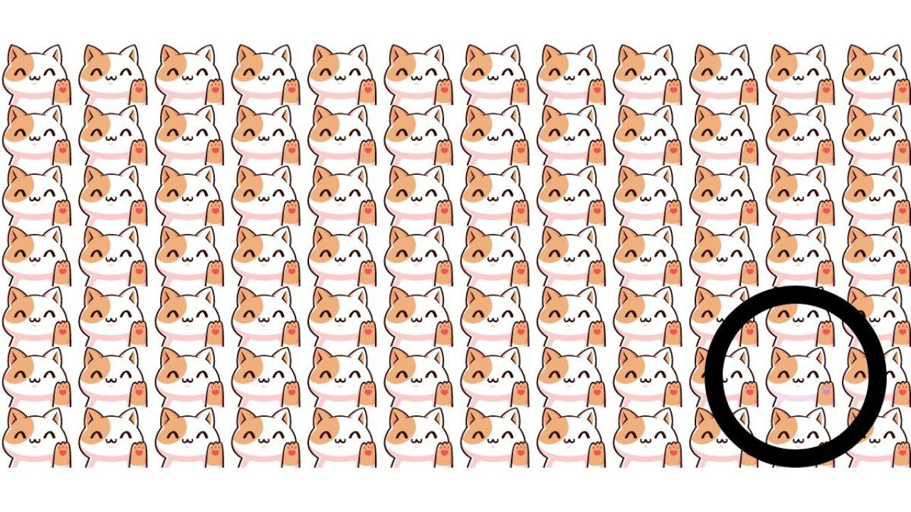 Only People With Perfect Vision Can Find the Odd Cat Out in This Picture in 9 Seconds