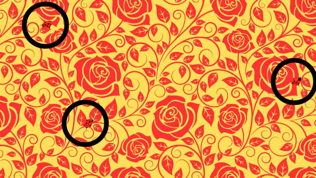 Only 1 in 10 People Can Spot All 3 Ladybugs Hidden Among These Roses in Under 15 Seconds