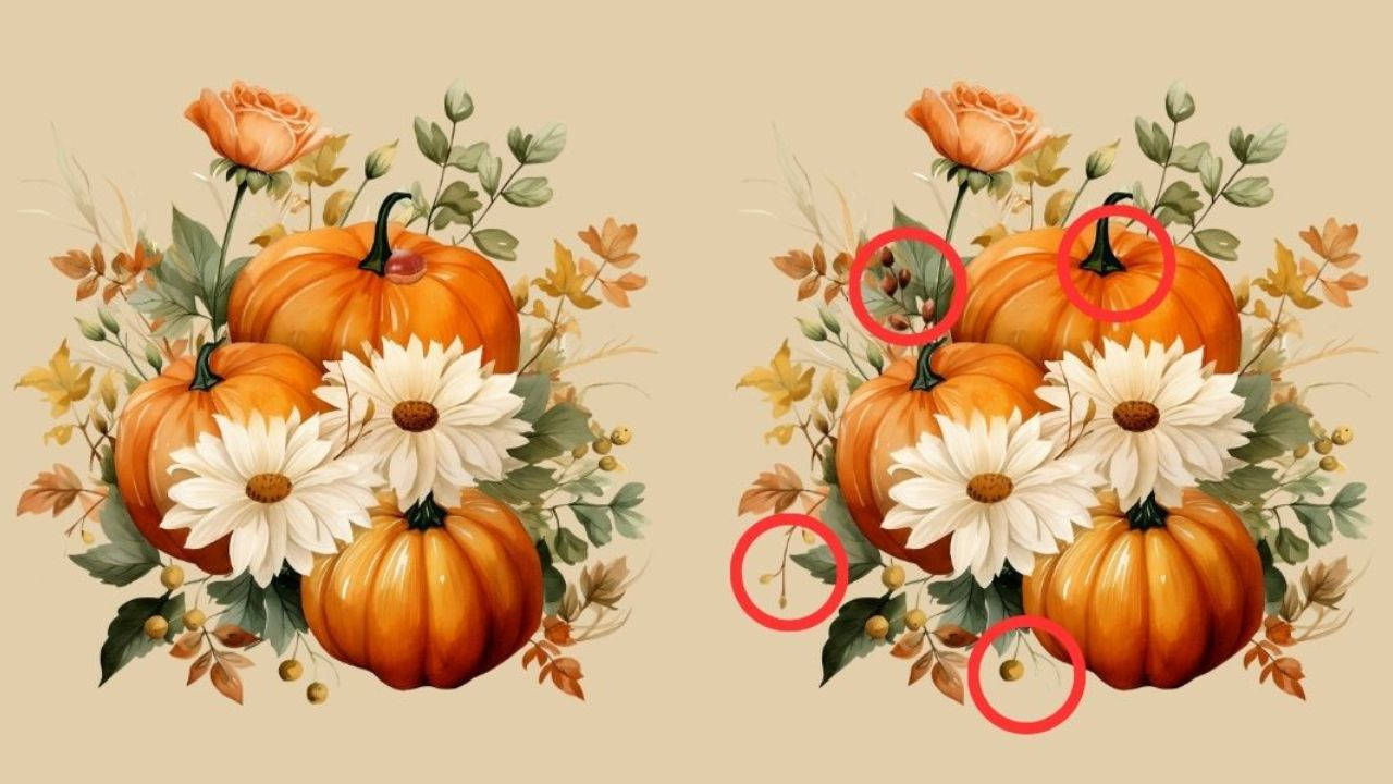 Spot the difference: Can you find all 4 in these autumnal images in less than 23 seconds?