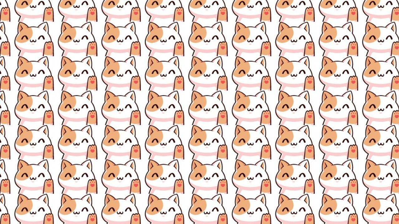 Only People With Perfect Vision Can Find the Odd Cat Out in This Picture in 9 Seconds