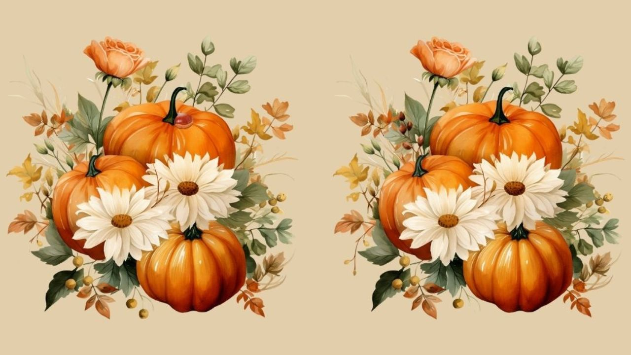 Spot the difference: Can you find all 4 in these autumnal images in less than 23 seconds?