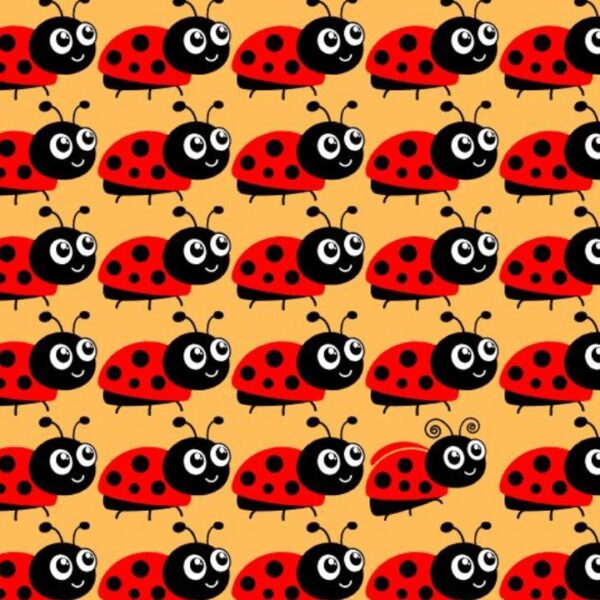 Think You Have Sharp Eyes? Prove It by Finding the 3 Different Ladybugs in 12 Seconds