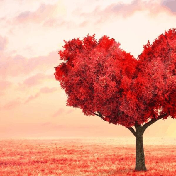 What You See First in This Image Reveals Your Biggest Strength Right Now