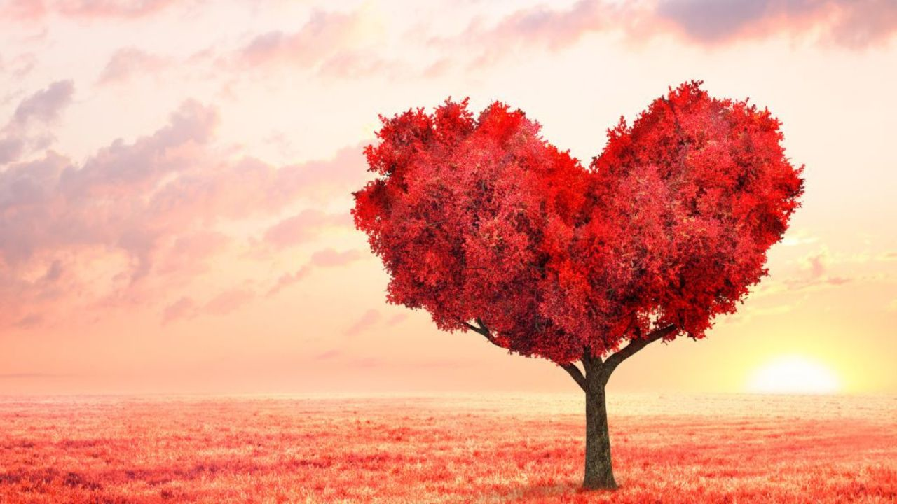 What You See First in This Image Reveals Your Biggest Strength Right Now