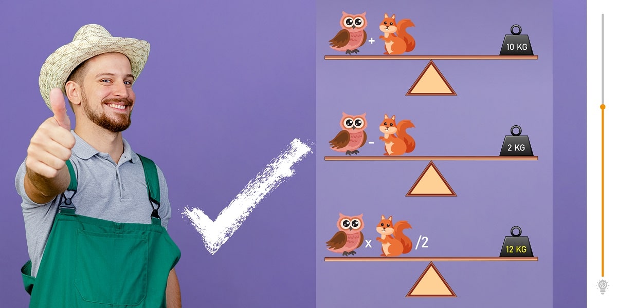 Brain-Busting math equation with an owl and a squirrel : test your IQ