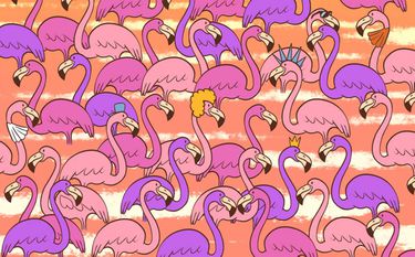 Find your heart among the flamingos (Cool Guru)