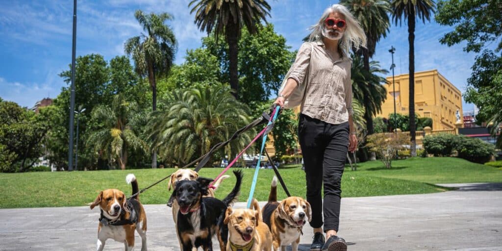 Ensure pet safety with tips for using a petsitter