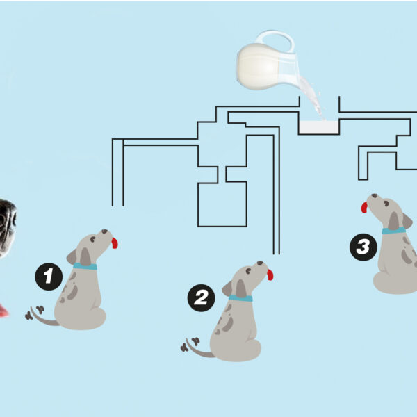 IQ Test: Which dog will drink the milk first? You’re a genius if you find it under 20 seconds!