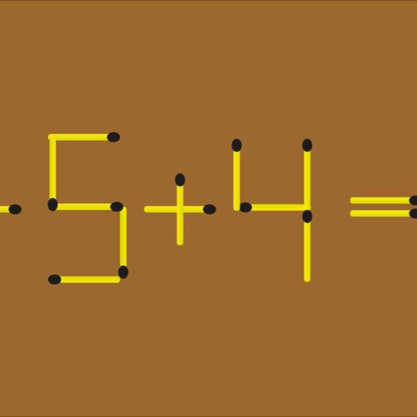 Maths Challenge: Can you solve this matchstik puzzle with just 1 move? In less than 20 seconds? If so, you have a higher IQ!