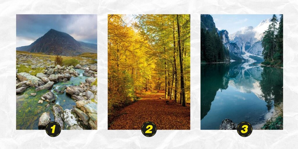 Personality Test Are you as honest as you think? Dare to check it