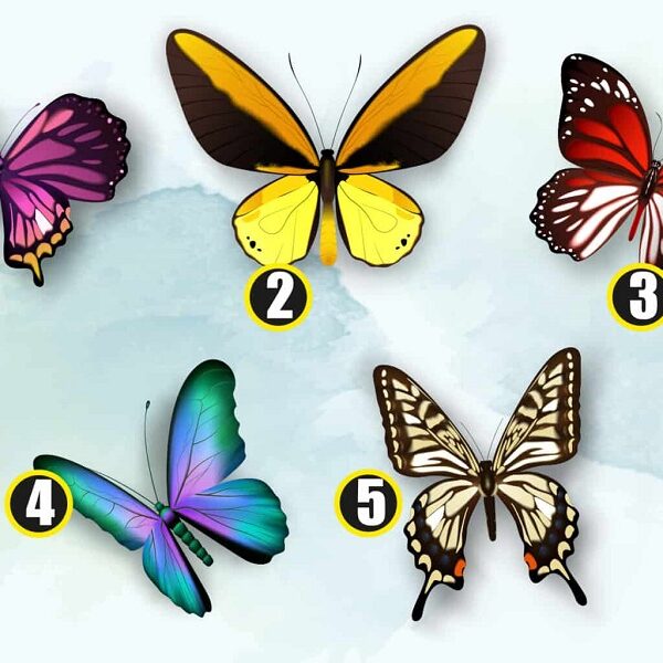 Personality test: Unlock your hidden dream: Choose a butterfly to reveal your secret desire!