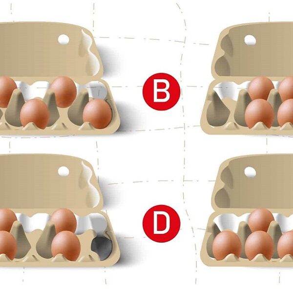 Personality test: What your choice of egg storage says about you! Nothing is really random.