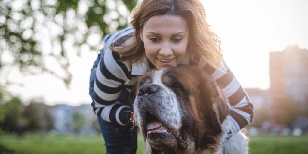 Discover the joy of adopting a senior dog: How to welcome them into ...