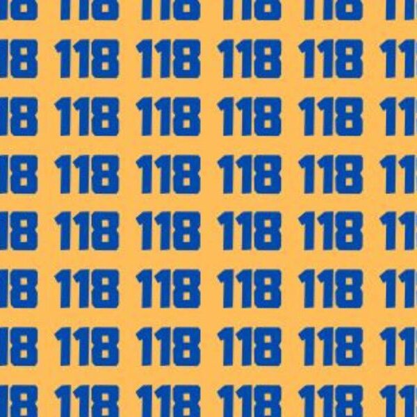 Observation test: Can you spot 119 in only 15 seconds? Only genius can beat the clock!