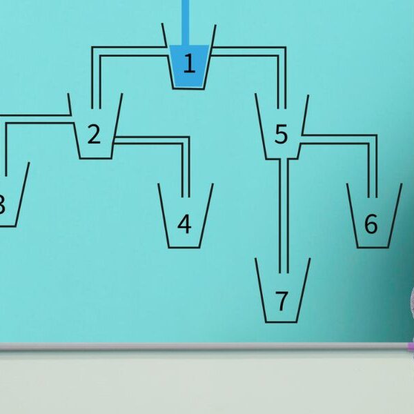 Brain teaser: Challenge your intelligence and find out which water tank will be filled first in 15 seconds!