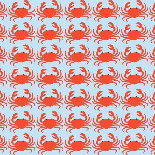 Visual and speed test: Can you find the 3 odd crabs in15 seconds? Only eagle eyes can beat the clock!