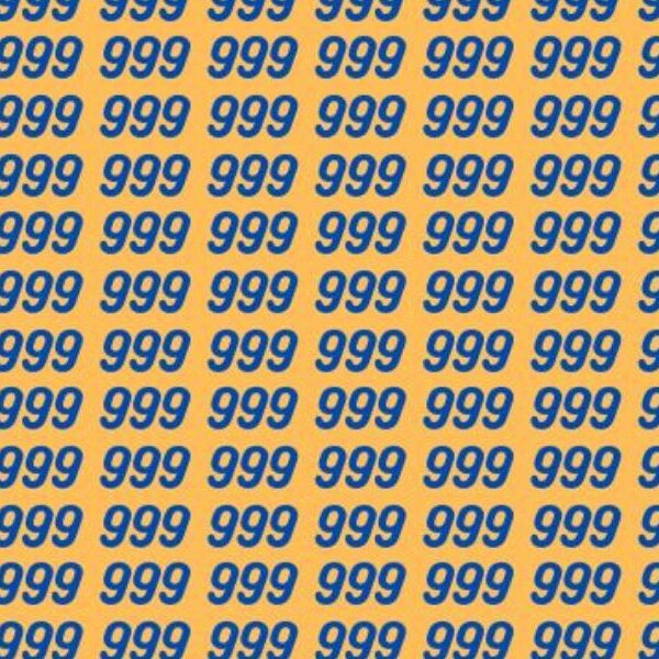 Visual brain teaser: Do you think you have what it takes to spot the 969 in less than 20 seconds?