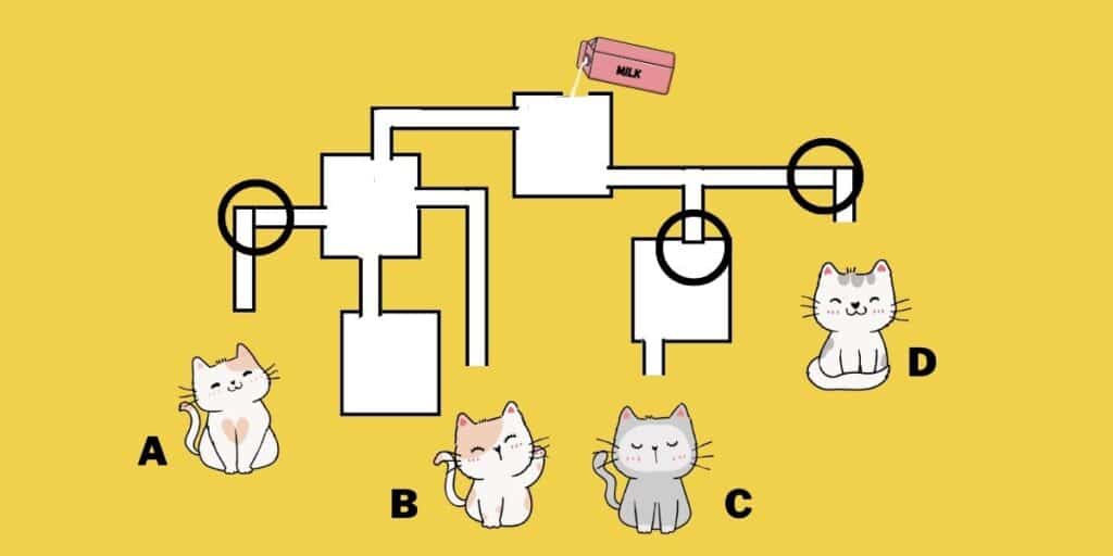 Breathtaking IQ challenge: Will you outsmart the crowd in finding the thirsty cat in 20 seconds?