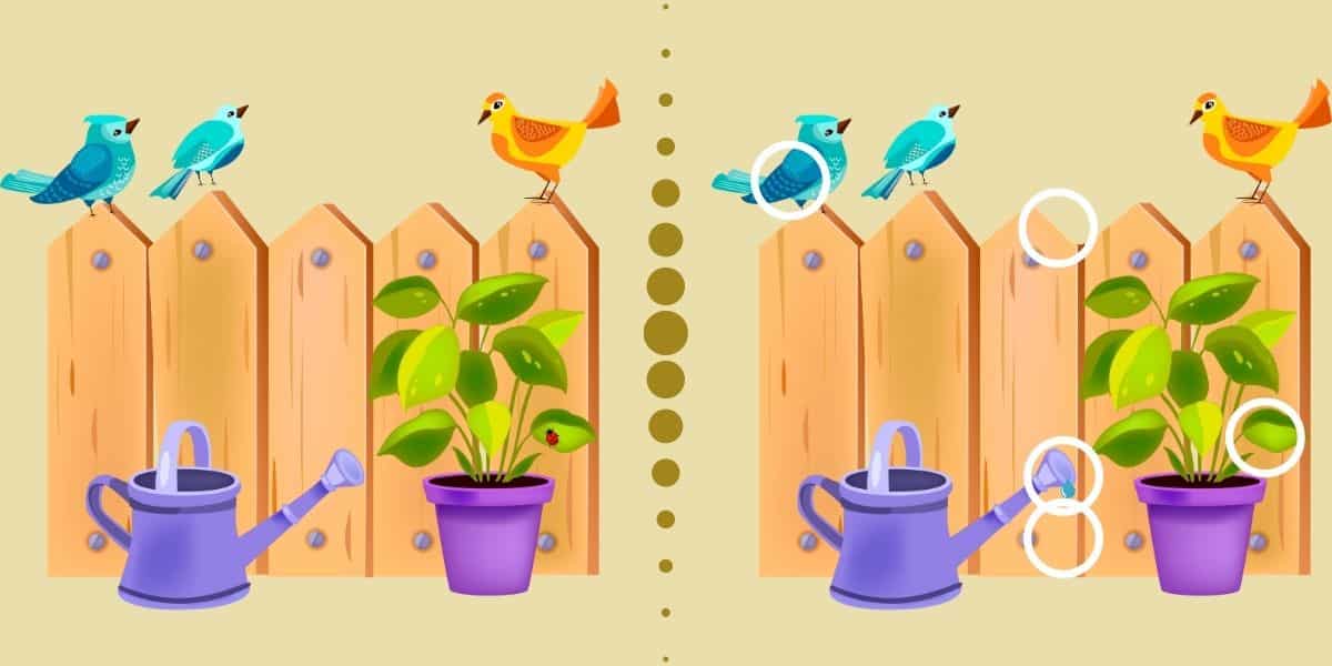 Difference game: Test your visual skills by spotting 5 differences in ...