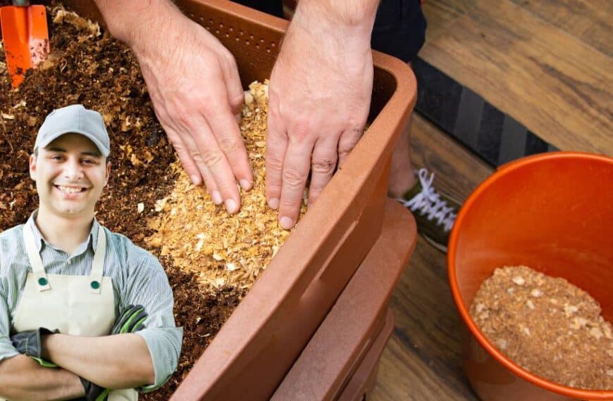 Top 3 reasons to embrace composting in your garden
