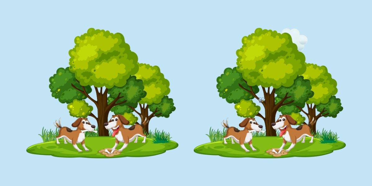 Quick-fire challenge to find 3  differences between 2 images of playful dogs burying bones - Can you make it in 20 seconds?