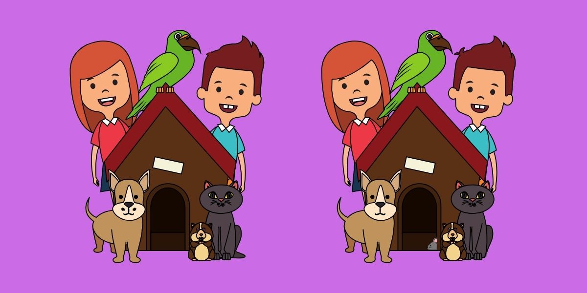Spot the difference challenge: Can you find the 5 subtle changes between these kids with their pets in less than 25 seconds?