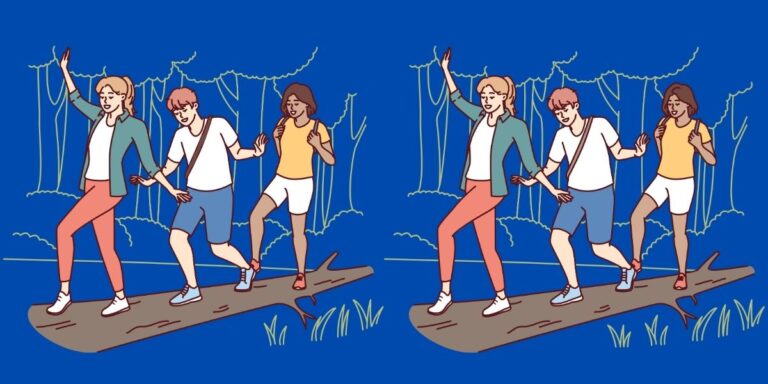 Spot the difference challenge: Can you find the 4 subtle differences ...