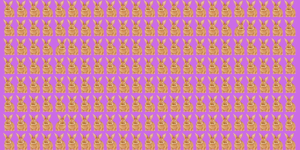 Can you spot the 3 odd rabbits? Try this thrilling visual brain teaser in less than 25 seconds!