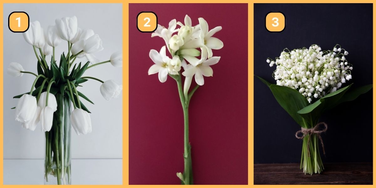 Personality test: Are you more conservative or adventurous? Let these beautiful white flowers reveal the answer!