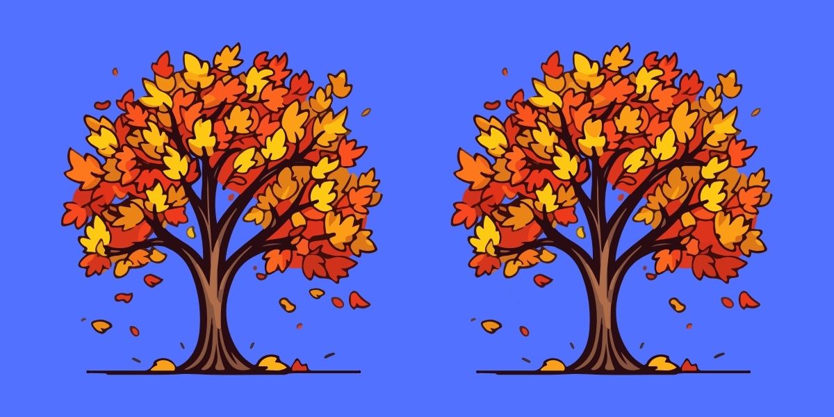 Think you have an eye for detail? Identify the 4 differences between these 2 autumn trees in 15 seconds max!
