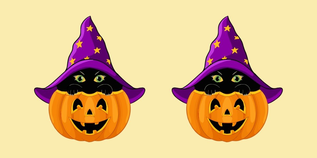 Can you find all 4 differences in less than 20 seconds? - Challenge yourself with this spooky Halloween edition featuring a black cat nestled in a pumpkin