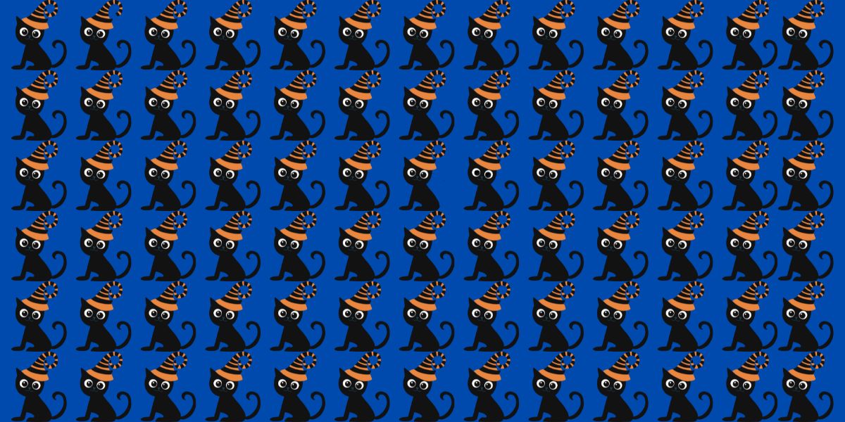 Visual challenge: How many odd black cats can you spot? Can you find them all in 20 seconds max?