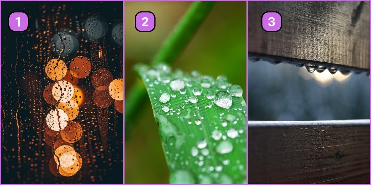 Personality test: Pick a raindrop and unravel your true nature - Are you a routine lover or a spontaneous spirit?