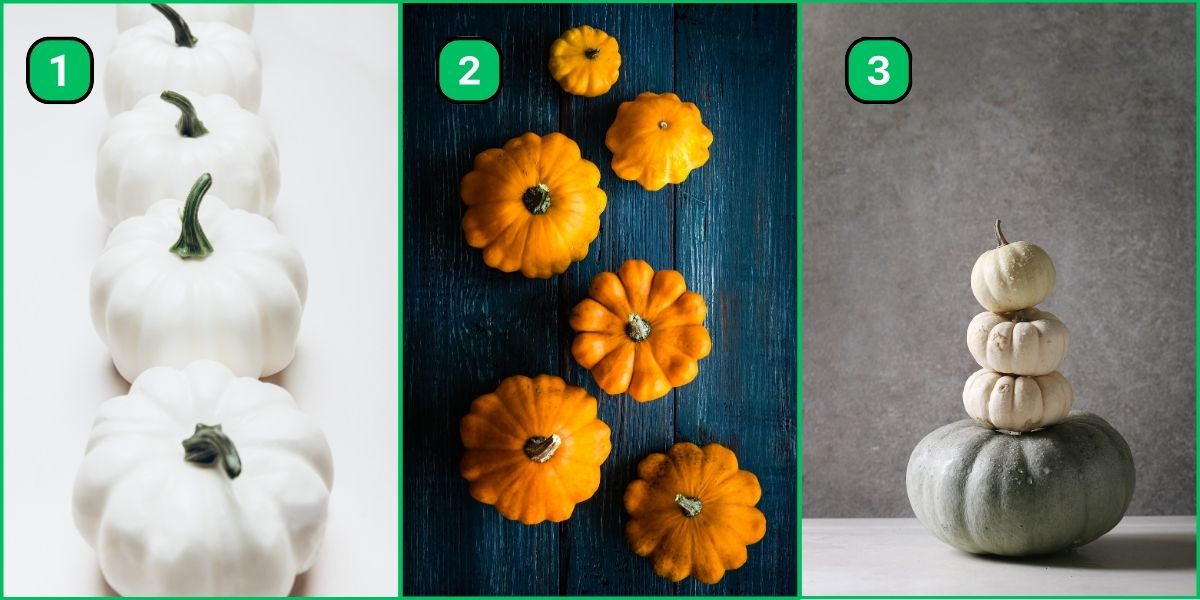 Find out if you're more sentimental or detached with our personality test! Just choose a pumpkin!