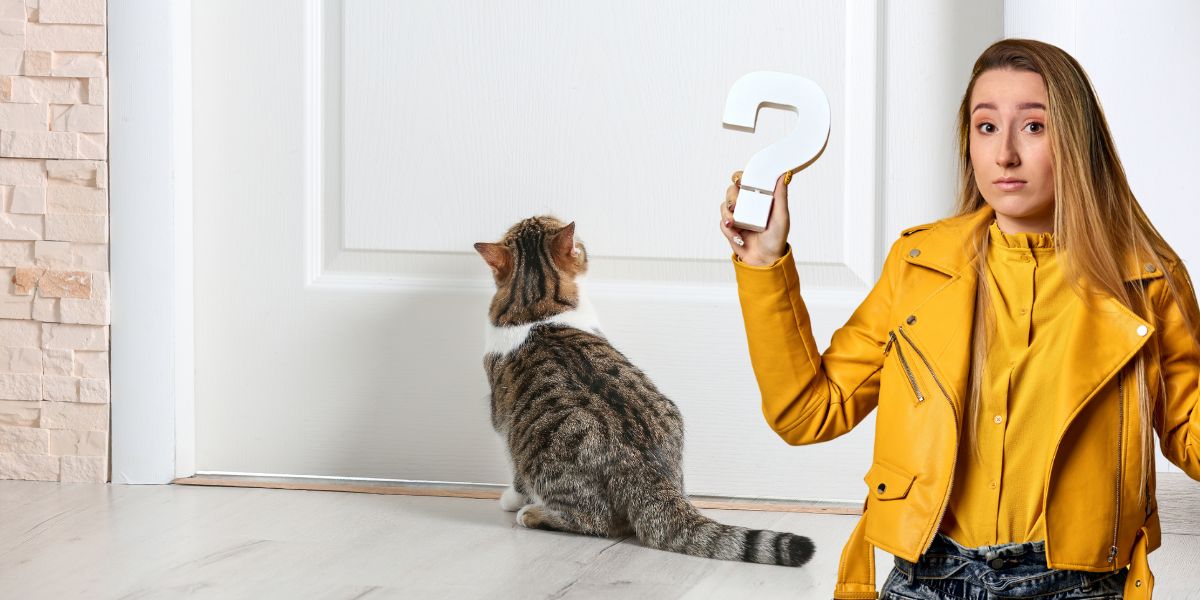 Knock, knock: Unraveling the mystery behind your cat's relentless door demands