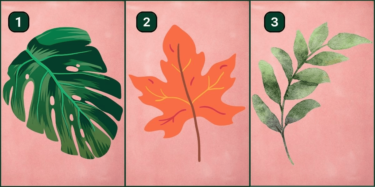 Personlighetstest: Ta reda på om du lutar mer mot lugna eller oroliga tendenser genom att välja ett löv!