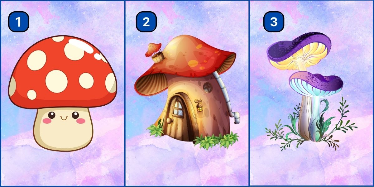 Personality test: Do you tend to be more practical or theoretical? Just choose a mushroom!