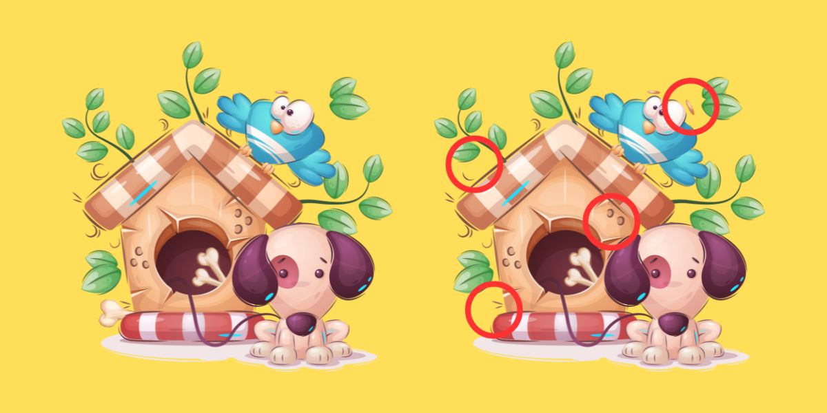 Spot the difference: Find the 4 subtle changes in this cute dog image challenge - Can you spot them in 15 seconds?