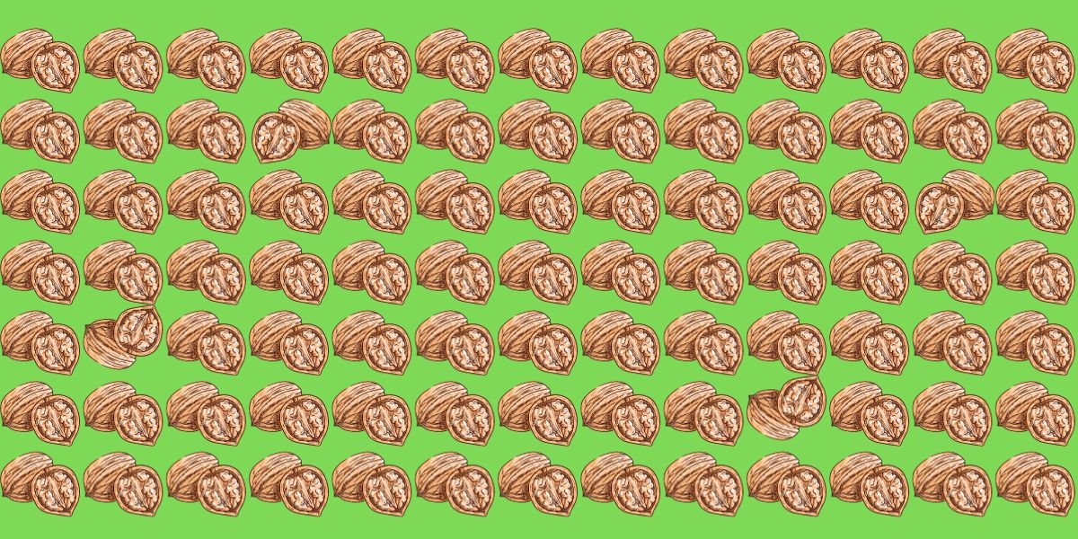 Can you spot the 4 odd walnuts in under 12 seconds? Test your eagle eyes with this thrilling visual challenge!