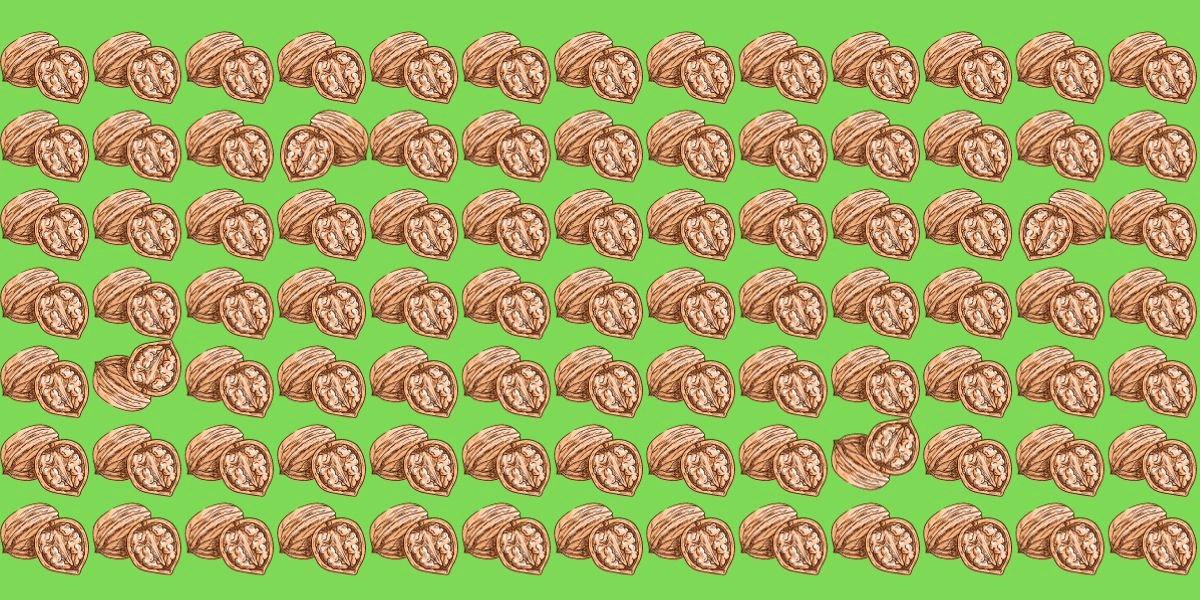 Can you spot the 4 odd walnuts in under 12 seconds? Test your eagle eyes with this thrilling visual challenge!