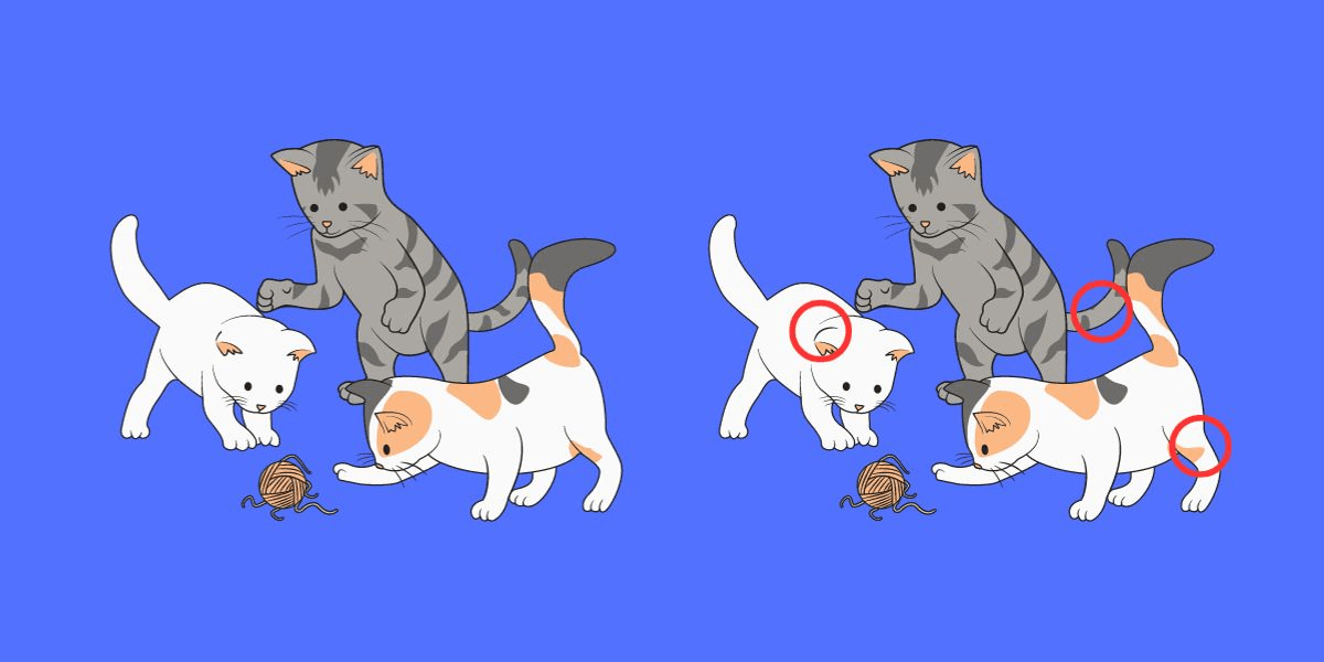 Encontre 3 diferenças ocultas em imagens divertidas de gatos em menos de 15 segundos - Apenas 10% conseguem!