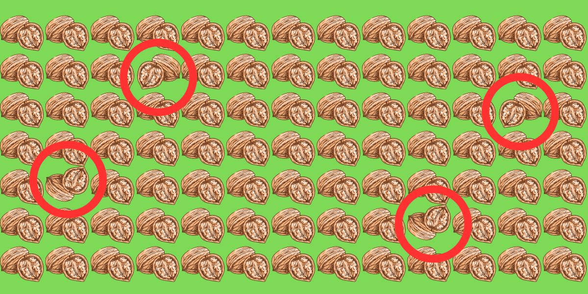 Can you spot the 4 odd walnuts in under 12 seconds? Test your eagle eyes with this thrilling visual challenge!