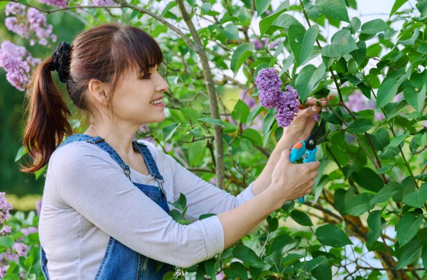 Do you want spectacular blooms? Here’s how to prune plants for incredible results next year