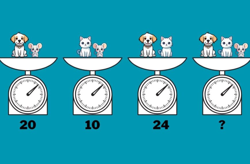 Are you a mathematical genius? Prove it and calculate the weight of all animals in 15 seconds!