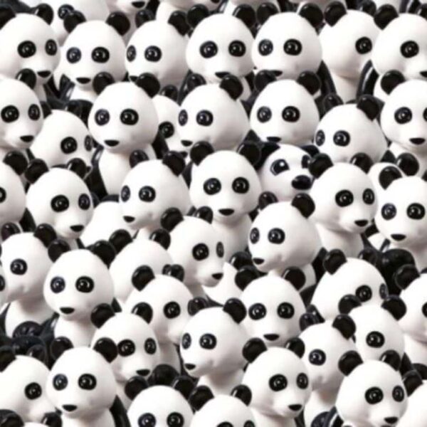 Can you meet the dog between the pandas in less than 5 seconds?