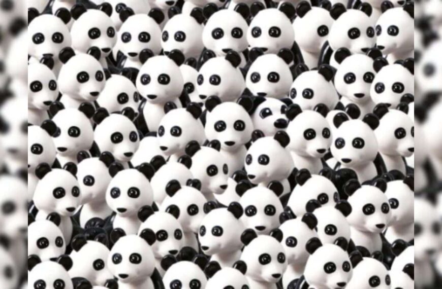 Can you meet the dog between the pandas in less than 5 seconds?