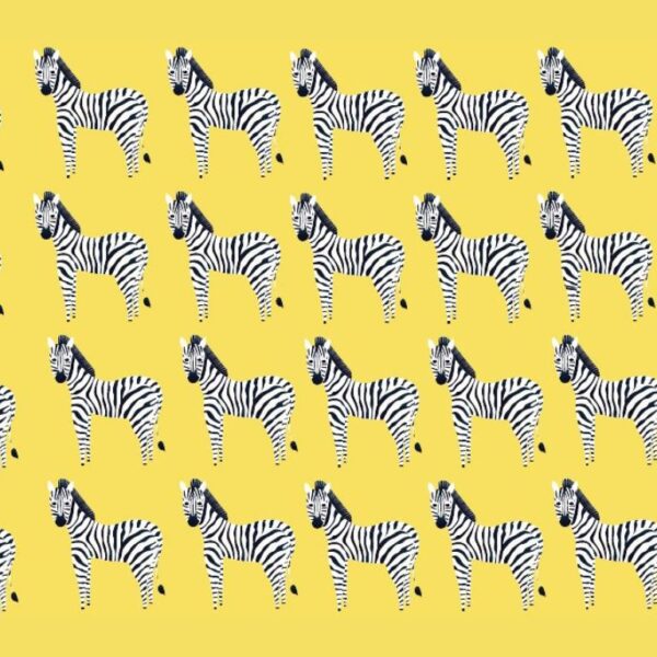 Find the intruder among the zebras in less than 25 seconds: are you up to the challenge?